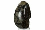 Septarian Dragon Egg Geode - Black Crystals #172818-3